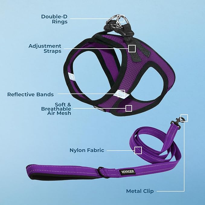 Best Pet Supplies Voyager Step-in Air All Weather Mesh Harness and Reflective Dog 5 ft Leash Combo with Neoprene Handle, for Small, Medium and Large Breed Puppies - Purple/Black Trim, Medium