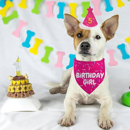 Dog Birthday Bandana Set, Rose Pink Birthday Girl Decorations, HBD Party Supplies with Hat Bandana Numbers for Pets (Pink)