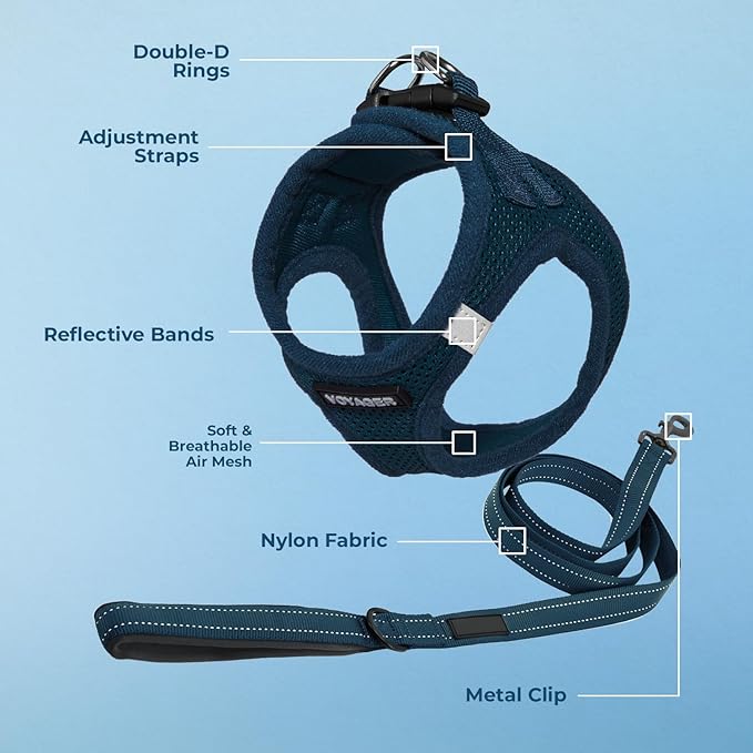 Best Pet Supplies Voyager Step-in Air All Weather Mesh Harness and Reflective Dog 5 ft Leash Combo with Neoprene Handle, for Small, Medium and Large Breed Puppies - Set (Blue), XXS