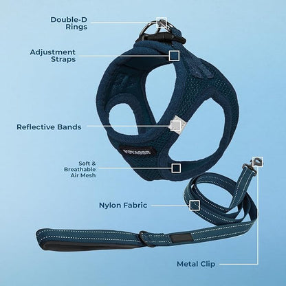 Best Pet Supplies Voyager Step-in Air All Weather Mesh Harness and Reflective Dog 5 ft Leash Combo with Neoprene Handle, for Small, Medium and Large Breed Puppies - Harness Leash Set (Blue), L
