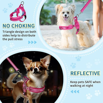 SlowTon No Pull Small Dog Harness and Leash Set, Puppy Soft Vest Harness Neck & Chest Adjustable, Reflective Lightweight Harness & Anti-Twist Pet Lead Combo for Small Medium Dogs(FU,L)