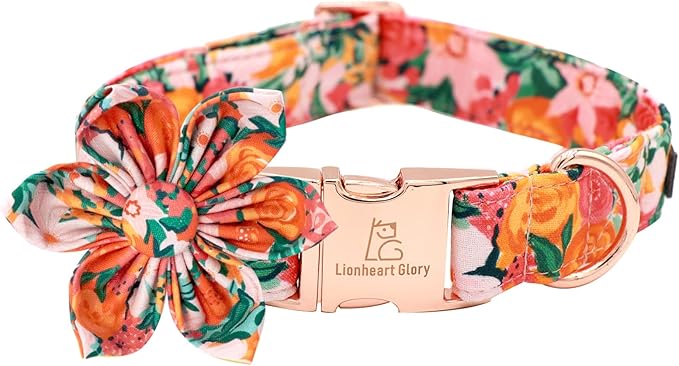 Lionheart Glory Dog Collar With Flower - Cute Floral Pattern Adjustable Pet Collar for X-Small Dogs