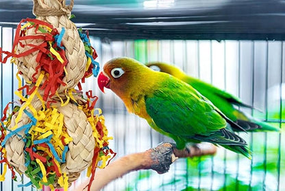2PCS Bird Foraging Toys, Parrot Shredding Chewing Shredder Hanging Toys, Parakeets Shredded Paper Bird Cage Accessories Toy for Small Parrots, Conures, Love Birds, Cockatiels