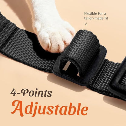 Dooradar Cat Harness and Leash Set, Escape Proof Safe Adjustable Kitten Vest Harnesses for Walking, Easy Control Soft Breathable Mesh Jacket with Reflective Strips for Cats, Black, S