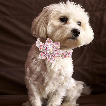 Lionheart glory Dog Collar Flower Collar Pink Dog Collar with Flower Spring Summer Cute Collar Dog Female Soft Durable Adjustable Dog Collars for Small Dogs, B:Strawberries