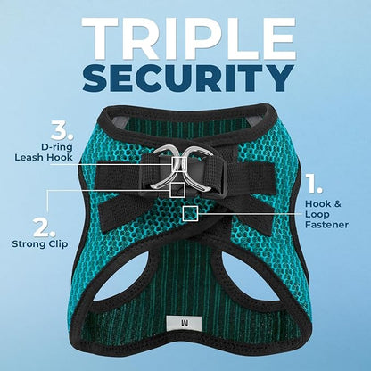 Best Pet Supplies Voyager Step-in Air Harness - All Weather Mesh, Reflective, No Pull Harness for Dogs, Cats - Secure with Hook & Loop Fastener, Buckle, Double D-Rings - Turqupise 2-Tone, XS