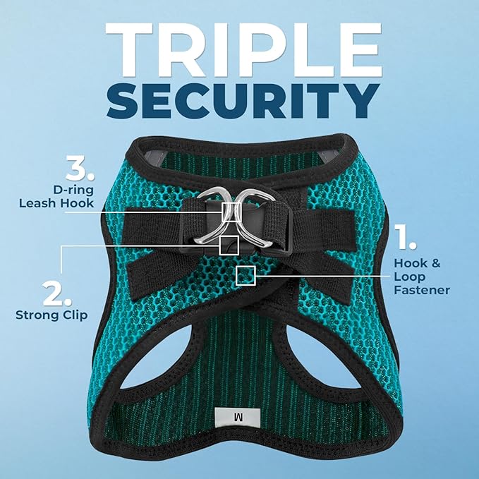 Best Pet Supplies - All Weather Mesh/Plush, Reflective, No Pull Harness for Small, Medium Dogs, Cats - Secure with Hook & Loop Fastener, Buckle, Double D-Rings - Turquoise 2-Tone, L