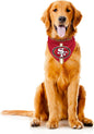 Littlearth NFL Denver Broncos Pet Bandana