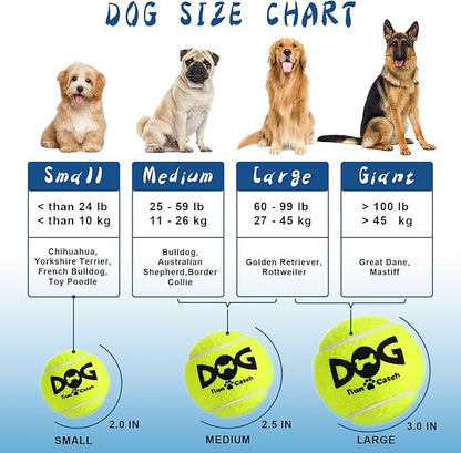 Tennis Balls for Dogs - 12 Pack 2.5'' Durable Non-Toxic Outdoor Dog Toys Balls with Mesh Bag, SGS Certified, Colorful Fetch Toys, Medium Large Breeds (Non Squeaky)