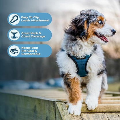 Voyager Step-in Pet Harness - All Weather Mesh, Adjustable Step in Harness for Cats and Dogs by Best Pet Supplies - Turquoise/Black Trim, L