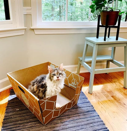 Cats Desire Disposable Litter Box No Plastic Solution (10 Tray) w/ Low Entry & Enclosed Box - Teal on Natural Brown, Made in USA Woman Owned, 19"L x 17"W x 8.5"H tray - 19"L x 17"W x 17"H enclosed box