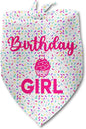 Dog Birthday Bandana Birthday Girl Pet Scarf Bibs Accessories Party Supplies for Dog Lover Small Medium Puppy Bandanas Girl