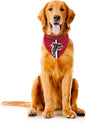 Littlearth NFL Denver Broncos Pet Bandana