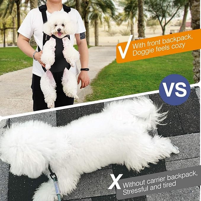 Lightweight Pet Backpack Carrier for Small Dogs & Cats - Easy-Fit Adjustable Straps, Basic Legs-Out Design, Durable for Daily Use (Fits Pets Under 15lb) (Yellow-White Color-Blocked, Small)