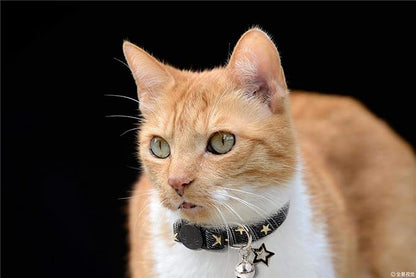 BoomBone Star Charm Studded Cat Collar Breakaway with Bell,Black Puppy Collars for Small Dogs