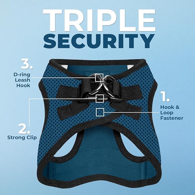 Best Pet Supplies Voyager Step-in Air All Weather Mesh Harness and Reflective Dog 5 ft Leash Combo with Neoprene Handle, for Small, Medium and Large Breed Puppies - Blue/Black Trim, Large