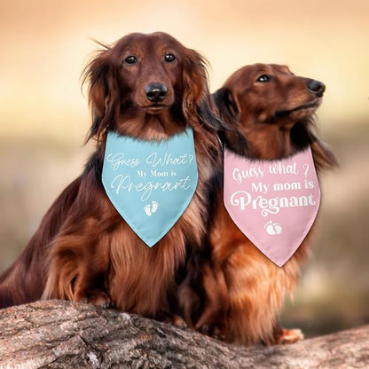 2 Packs Baby Announcements Ideas Guess What? My Mom is Pregnant Pregnancy Announcement Dog Bandana Gender Reveal Pet Dog Triangle Scarf Accessories for Small Medium Large Dogs Cats