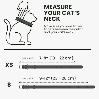 BRONZEDOG Leather Cat Collar with Removable Bells Non Breakaway Kitten QR Tag for Girl Boy (7" - 9" for Cats, Black & Gold)