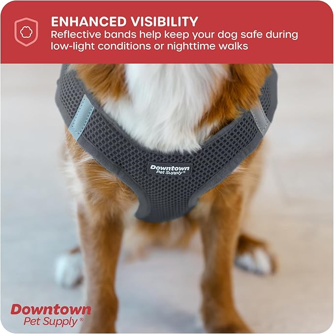 Downtown Pet Supply Step-in Dog Harness – No Pull, Adjustable Padded Mesh with Reflective Trim, Secure Buckle Strap – Comfortable & Breathable Small Dog Harness, XX-Small, Charcoal