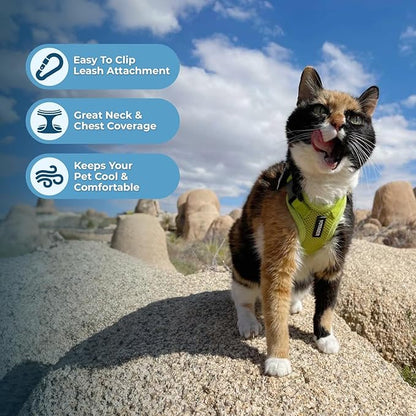 Voyager Escape-Proof Step-in Lock Cat Harness & 5ft Neoprene-Handle Leash Set All-Weather Mesh with Reflective Stitching for Small to Large Cats by Best Pet Supplies, Lime Green, XXS