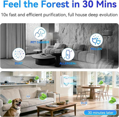 Plug in Air Ionizer 6-Pack, Negative Ion Air Purifier Plug In, Mini Filterless Air Freshener Quiet Air Cleaner Portable Air Purifiers Odors Smoke for Home Office, Bedroom, Bathroom