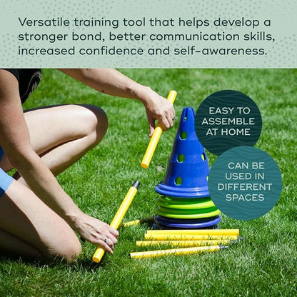 FitPAWS Ball Dynamics CanineGym Agility Kit