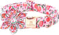 Lionheart Glory Pink Peach Flower Dog Collar - Soft, Durable, Adjustable for Medium Dogs