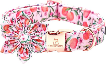 Lionheart Glory Pink Peach Dog Collar with Flower Bow for Small Dogs