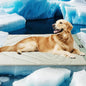 ZonLi Dog Cooling Mat, 59" x 40"Extra Large, Waterproof Cooling Pad for Dogs & Cats, Portable & Durable Pet Mat for Crate, Trunk, Camping, Outdoors, Machine Washable, Ice Green