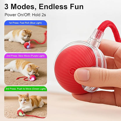 Interactive Electric Automatic Rolling Moving USB Rechargeable Self Activated Play Stimulation Toy Smart Chase Teaser Ball with Speedy Tail Rope for Bored Adult Indoor Cats and Dogs, Red