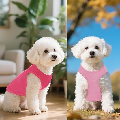 4 Pcs Cat Shirts Solid Color Dog Clothes Summer Sleeveless Pet T Shirts for Small Pet Dogs Cat (Black,Pink,Grey,Rose red, Large)