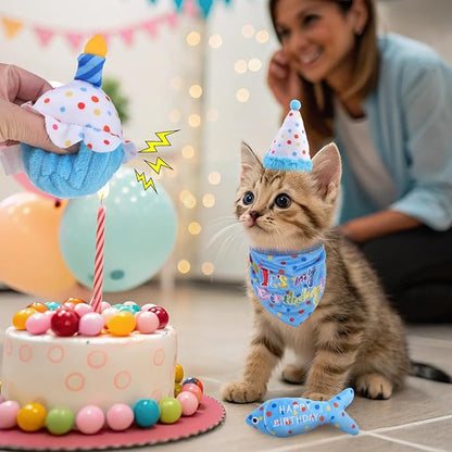 BINGPET Cat Birthday Catnip Toys for Indoor Cats, 5 Pcs Cat Birthday Gift Kitten Interactive Toys for Boy Girl Cats, Soft Plush Catmint Kitty Chew Kick Toy, Hat, Bandana, Balloon, Cake, Fish, Sky Blue