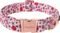 Unique style paws Valentine's Dog Collar Metal Buckle Puppy Collar XO Red Lips for Small Medium Large Boys Girls Dogs Wedding