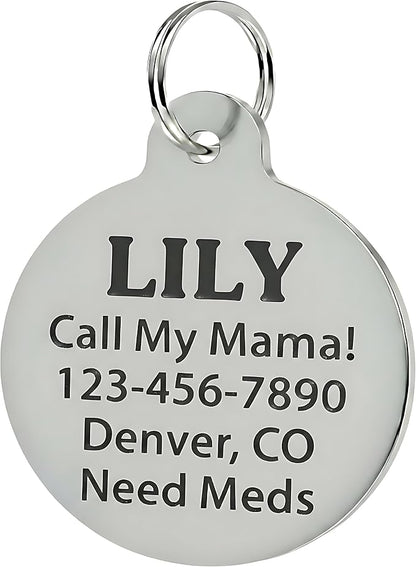 Bad Tags Personalized Dog and Cat ID Tags in 25+ Designs and 2 Sizes - 5 Lines of Custom Engraved Text - Funny Cute Personalized Pet Tags (Silently Judging - Red, Large (1.25 inch))