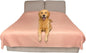 SILLY LEGACY Thin Reversible Waterproof Protective Cover or Liner for Bed or Couch (King Size, 100 x 96 inch), for Dogs and Cats, Babies; Incontinence, Dirt, Drool