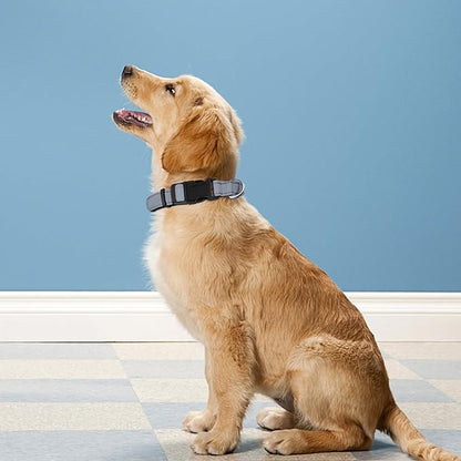 Reflective Dog Collar, Adjustable Soft Neoprene Padded Nylon Pet Collars with Buckle for Large Dogs, Gray,L