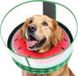 Inflatable Dog Cone with Anti-Licking Clear Shield, Protective Dog Donut Collar After Surgery, Adjustable Soft Recovery Cone for Pets, Alternative Collar with Buckle Strap (Watermelon, S)