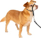 PetSafe Gentle Leader Headcollar No-Pull Dog Collar - Helps Improve Walks - Durable Nylon Construction - Padded Nose Loop - Adjustable Fit - Comfort Walking Halter - Petite, Black
