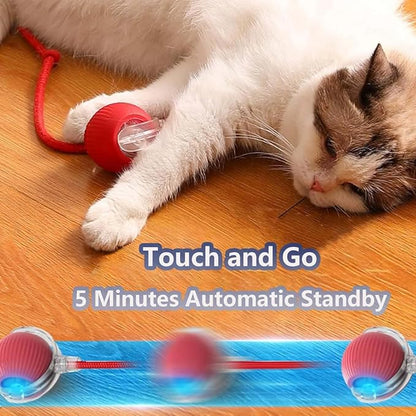 Interactive Cat Toys for Indoor Cats, Agility Move Cat Balls,Motion Activated Cat Balls, Cat Toys for Bored Indoor Cats (Yellow)