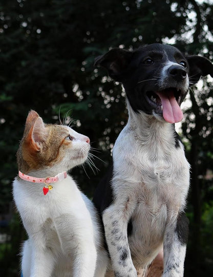 Cat Collar Breakaway with Bells,3 Pack Safety Adjustable Pet Collars,Ideal for Girl Boy Kittens. (White Yellow Pink)