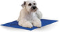K&H Pet Products Coolin' Pet Pad Dog Mat, Portable Dog Cooling Mat for Travel or in Home, Perfect for Carriers, Crates, Outdoor Houses, Yards, Porches, Pet Beds & More - Medium 20 X 15in Chill Blue