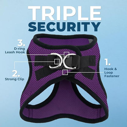 Best Pet Supplies Voyager Step-in Air All Weather Mesh Harness and Reflective Dog 5 ft Leash Combo with Neoprene Handle, for Small, Medium and Large Breed Puppies - Purple/Black Trim, XX-Small