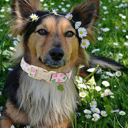 St Patricks Day Dog Collar for Giant Large Dogs - Cute Light Pink Shamrock Girl Dog Collars, Adjustable Irish Clover Puppy Collar with Quick Release Buckle XL
