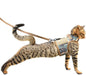 Tactical Kitty Harness and Leash for Walking Escape Proof Breathable Mesh Fabric, Green Jungle Camo, Small, Adjustable Cat Walking Jackets, Padded Stylish Cat Vest