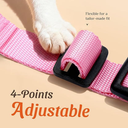Dooradar Cat Harness and Leash Set, Escape Proof Safe Adjustable Kitten Vest Harnesses for Walking, Easy Control Soft Breathable Mesh Jacket with Reflective Strips for Cats, Pink, S