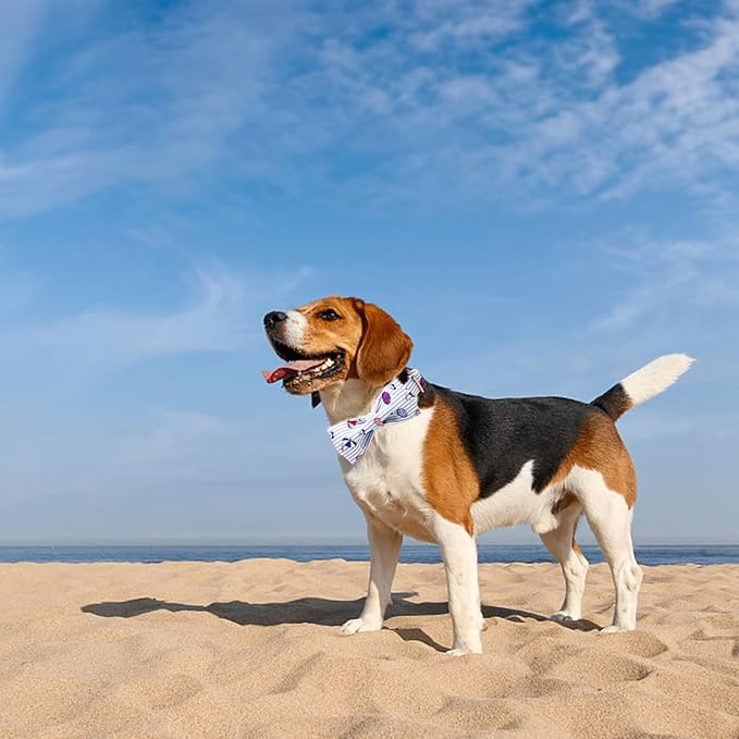 Lionheart glory Dog Collar, Dog Collar with Bow, Summer Stripe Boy Dog Bowtie Collar Cute Pet Collar Gift for X-Large Dog