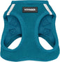 Best Pet Supplies Voyager Step-in Air Harness - All Weather Mesh, Reflective, No Pull Harness for Dogs, Cats - Secure with Hook & Loop Fastener, Buckle, Double D-Rings - Turquoise, L