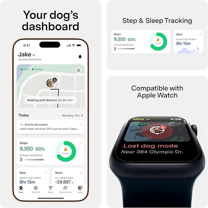 New Fi Series 3+ Smart Dog Tracker Collar [6 Month Membership Included] GPS Tracker for Dogs with Health & Behavior Monitoring, Escape Alerts, Waterproof, LED, Apple Watch Compatible (Gray, Medium)