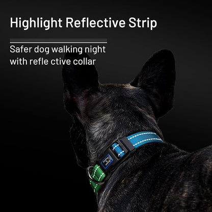 Roses&Poetry Dog Collars for Medium Dogs, Adjustable Durable Pet Collars for Small Medium Large Dogs (Bluegreen-M)