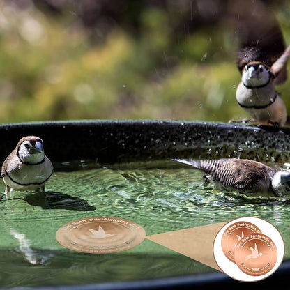 99.99% Pure Copper Bird Bath Purification Disk,Set of 2,0.6mm thick,Reinforced Copper Purification Cleaner with Four-Point Support,All-Season Safe Clean Water,Universal Fit for Outdoor Birdbath&Bowl